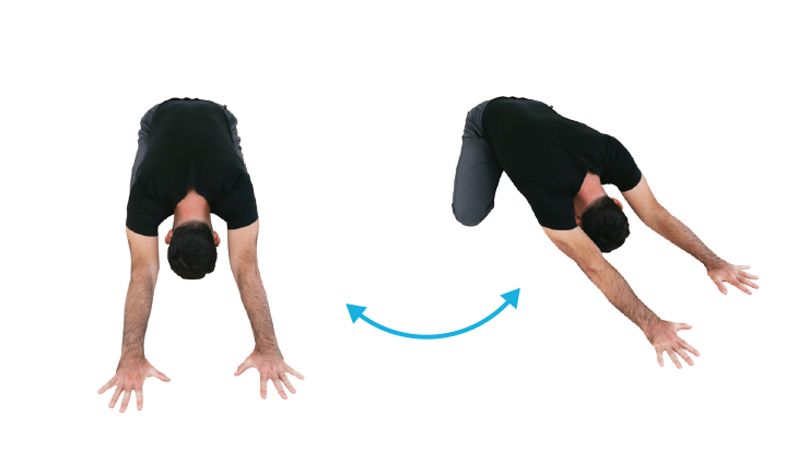 Back Stretches - Quadruped Sidebend