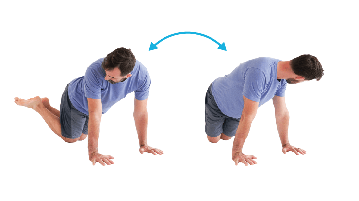 Back Stretches - Wag Tail