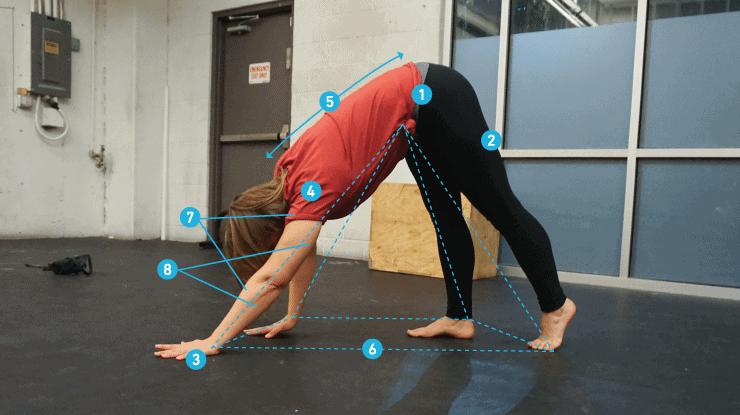 bodyweight bear 2