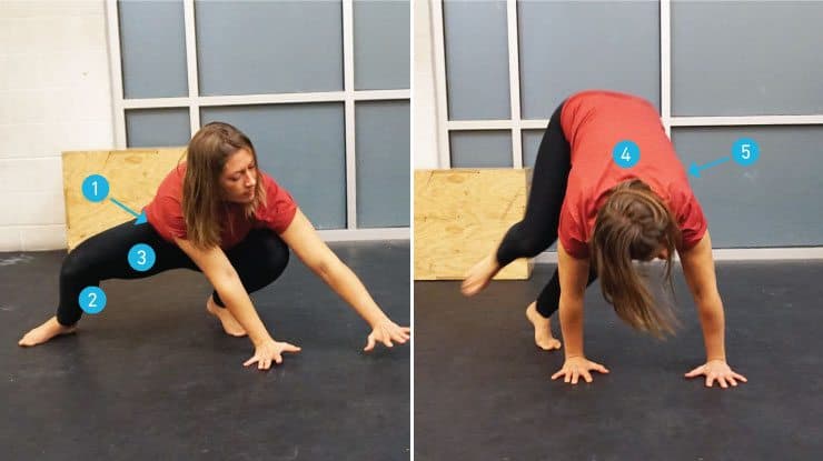 monkey full body stretch