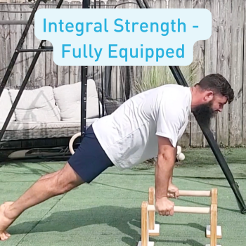 Pushup on Pbars