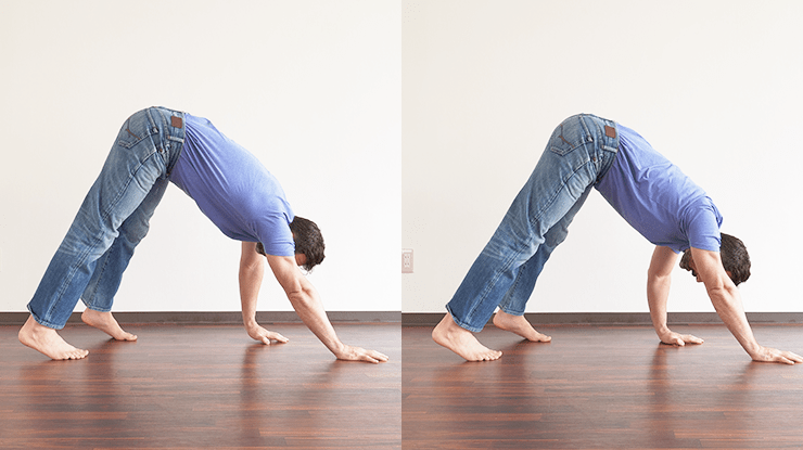 GMB Fitness Ryan Exaggerated Bear